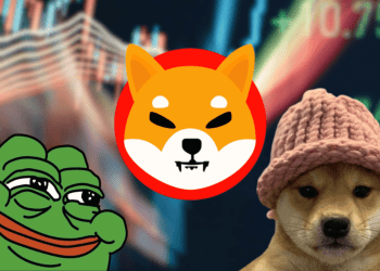 Meme Coins May See Investments From Major Hedge Funds and Here is Why