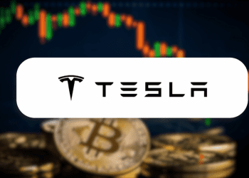Tesla Reveals They Sold No Bitcoin in Q4 2024 BULLISH