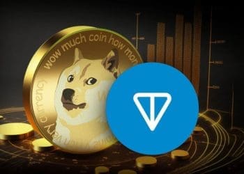 Toncoin is About to Flip Dogecoin and Here is Why