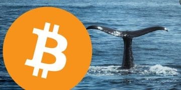 Bitcoin Whales Aggressively Purchase $2.9 Billion Worth Amid Market Dip
