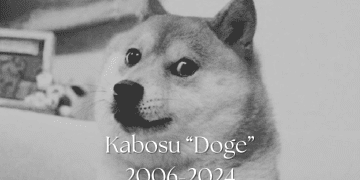 Shiba Inu Who Inspired the Dogecoin DOGE Meme Passes Away