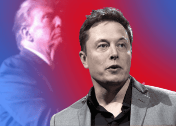 Elon Musk Denies Discussing Crypto Policy with Trump, But is Open to the Idea