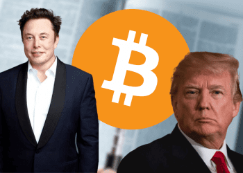 Elon Musk Teams Up With Donald Trump for Crypto Policy Discussions