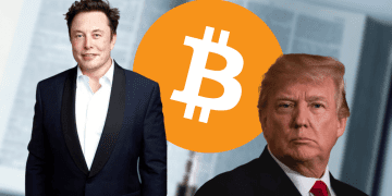 Elon Musk Teams Up With Donald Trump for Crypto Policy Discussions