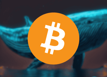 Bitcoin Whales Realize $1.2 Billion in Profits Amid Market Uncertainty