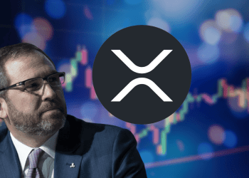 Spot XRP ETF Could Launch in 2025, States Ripple CEO