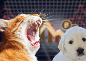 Cat Themed Crypto Memes Outperform Their Dog Counterparts and Other Major Cryptos