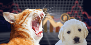 Cat Themed Crypto Memes Outperform Their Dog Counterparts and Other Major Cryptos