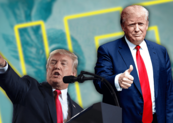 Donald Trump Launches Another NFT Collection as Election Heats Up