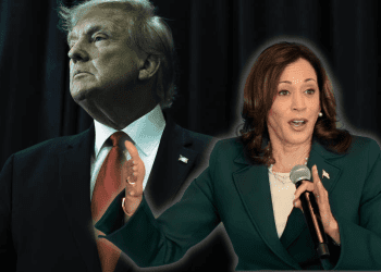 Trump's Election Chances Decline as Harris Gains Ground