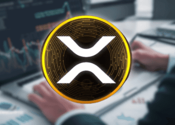 XRP Whale Accumulation Reaches Record High Amid 20% Price Surge