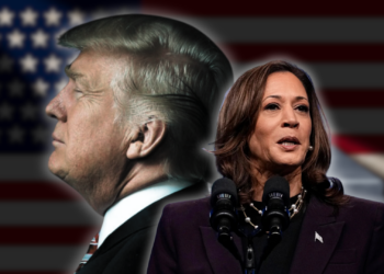 Kamala Harris Overtakes Donald Trump in 2024 Election Odds