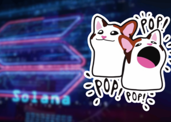 Solana Memecoin POPCAT Leads Crypto Market as Memes Turn Bullish