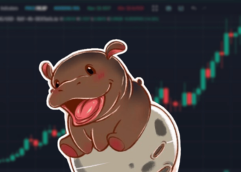 Viral MOODENG Hippo Meme Turns Memecoin, Breaks $100 Million Market Cap