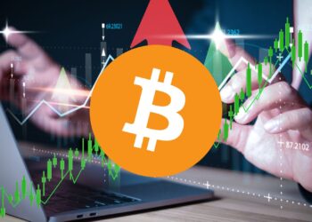 $BTC is Going All The Way Up Is the World Ready for the Reign of the King?