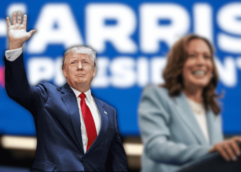Donald Trump Extends Lead Vs Kamala Harris by 20% in 2024 Election Odds