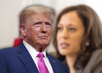 Donald Trump is Sweeping Kamala Harris in 2024 Election Polls, Here is Why