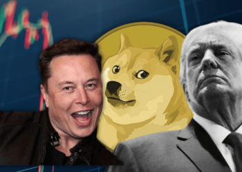 Elon Musk Accidently Pumped Dogecoin by 19% Touring with Donald Trump, This is How