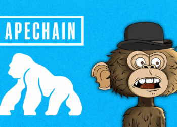 Everything You Need to Know About ApeChain's Hottest NFT Project; Jimmy