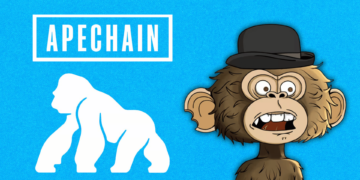Everything You Need to Know About ApeChain's Hottest NFT Project; Jimmy