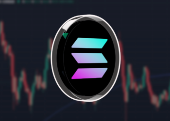 Solana Leads 87% of New Token Launches Amid Memecoin Frenzy