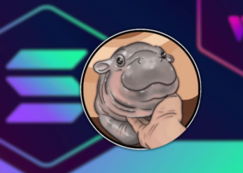 Solana Memecoin Moodeng Surged 140% Today; Here is What You Missed