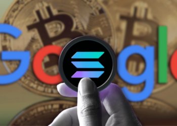 Solana Memecoins Outshine Bitcoin as Google Searches Plummet