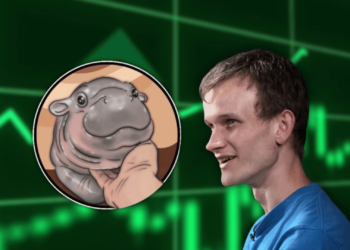 Vitalik Buterin Sells Moo Deng Tokens for Charity, Price Soars 480%