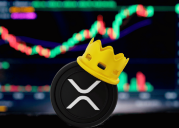 Ripple Launches Digital Asset Custody Services for Banks and Fintech Firms