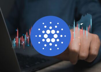 $478M in Assets: A Look at Cardano's Finances