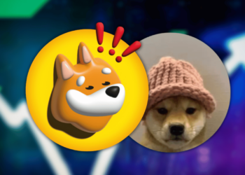 BONK Surpasses WIF as the Biggest Meme Coin on Solana; What's Next?