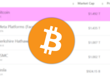 Bitcoin Flips Meta as the 9th Biggest Asset in the World Via Market Cap