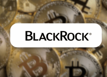 BlackRock Exec Declares Bitcoin is Not a Risk On Asset