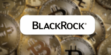 BlackRock Exec Declares Bitcoin is Not a Risk On Asset