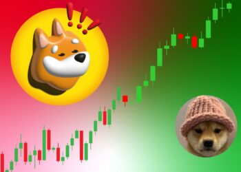 Bonk Flips Dogwifhat: Solana's Meme Coin Battle Heats Up
