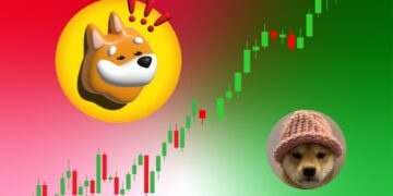 Bonk Flips Dogwifhat: Solana's Meme Coin Battle Heats Up