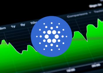 Cardano's Whale Activity: A Deep Dive