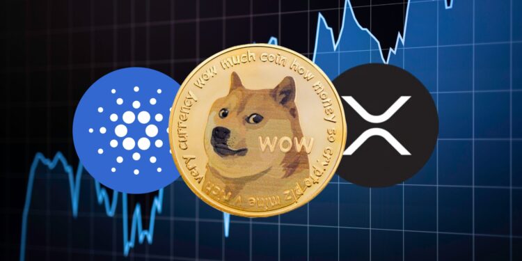 Dogecoin Dreams of $1 Over? Sharp Xrp Skyrocketing Still Possible, Cardano Stronger Than Everyone else