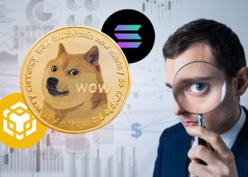 Dogecoin Poised to Surpass BNB and SOL