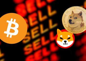 Dogecoin and Shiba Inu Dive After Bitcoin's Stumble