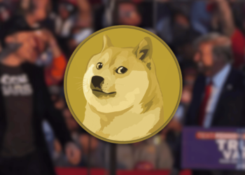 Everything You Need to Know About Elon Musk's D.O.G.E Initiative and How its Pumping Dogecoin's Price