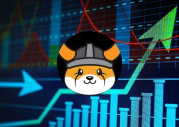 Is FLOKI the Next Big Meme Coin?