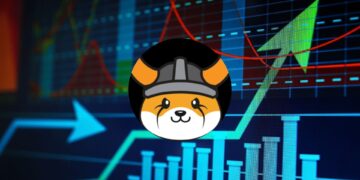 Is FLOKI the Next Big Meme Coin?
