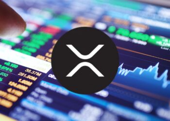 Is XRP the Next Big Thing in Crypto?