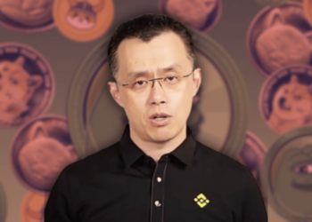 Meme Coins Under Fire As Binance Founder CZ Calls For Real Utility