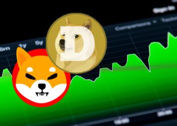 Meme Coins on Fire: DOGE and SHIB's Bullish Outlook