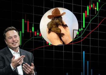 PNUT Soars 1091% After Elon Musk Tweet