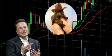 PNUT Soars 1091% After Elon Musk Tweet
