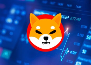 SHIB Soars: Bull Flag Points to 48% Rally