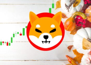 Shiba Inu Price Surge of Over 75% Above 2024 High Predicted by Analyst